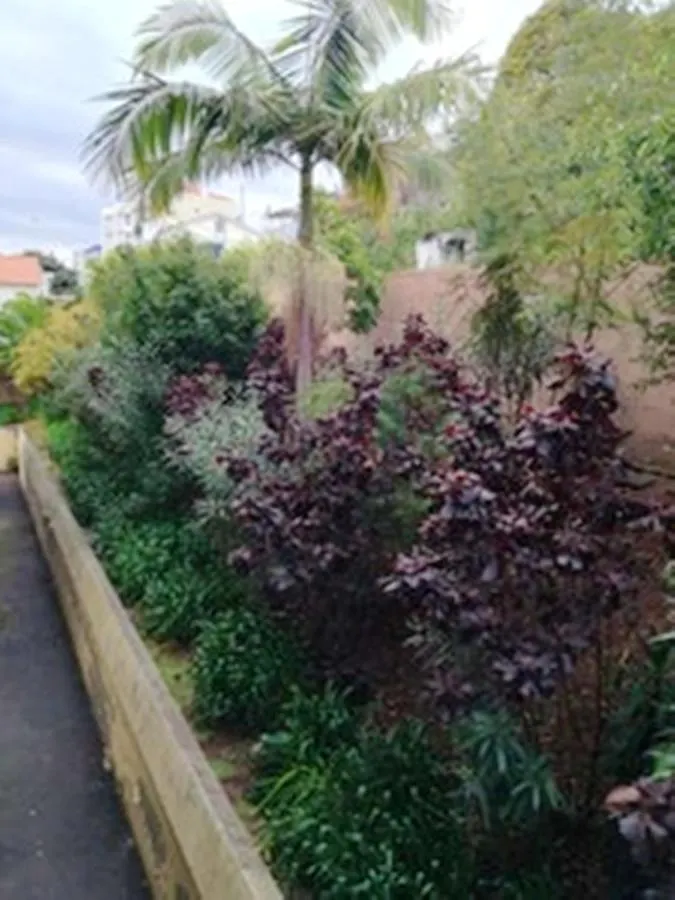 Charming Apartment In Funchal With Balcony And View