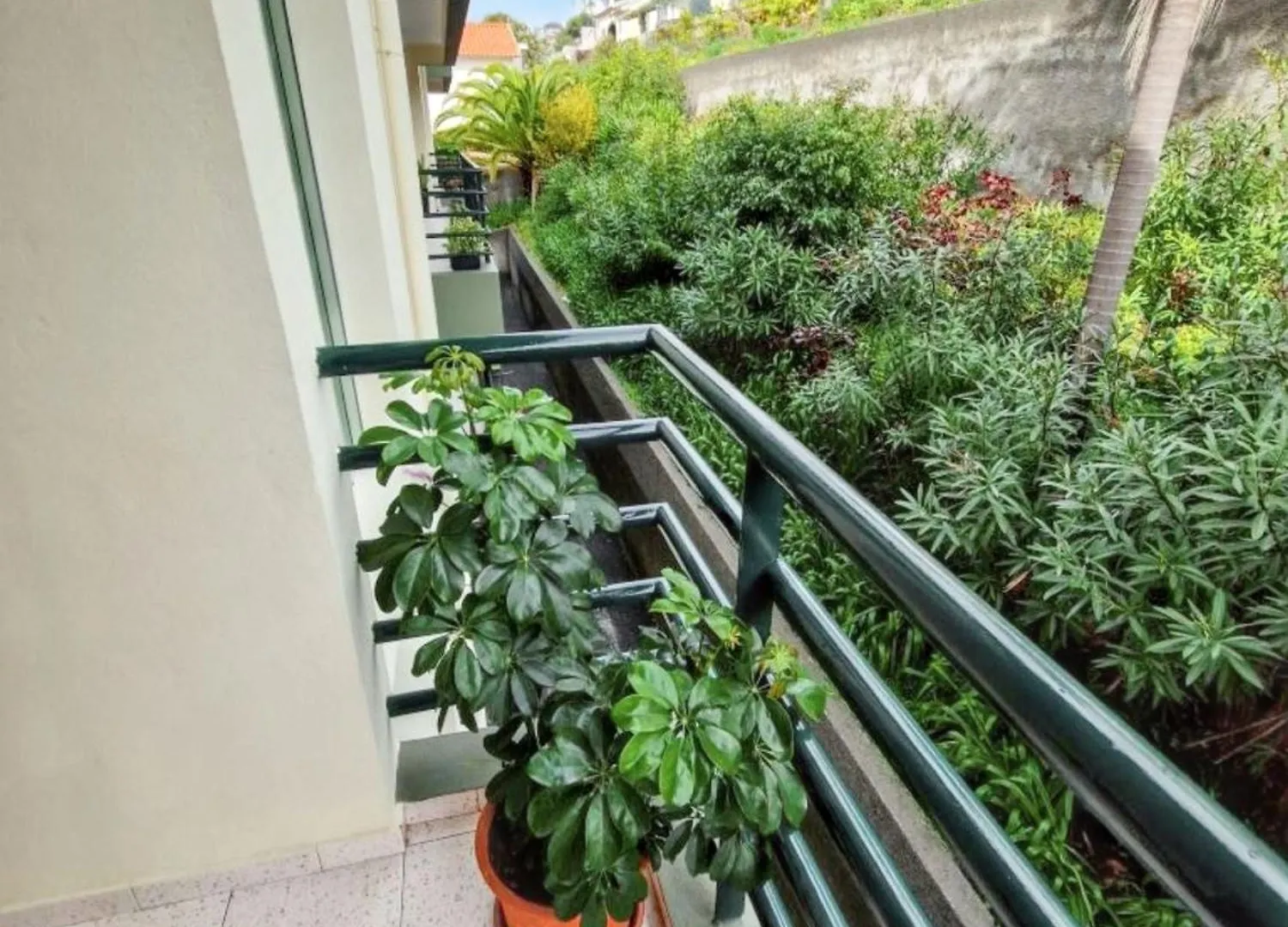 Charming Apartment In Funchal With Balcony And View